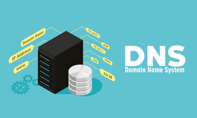 DNS Nedir ?